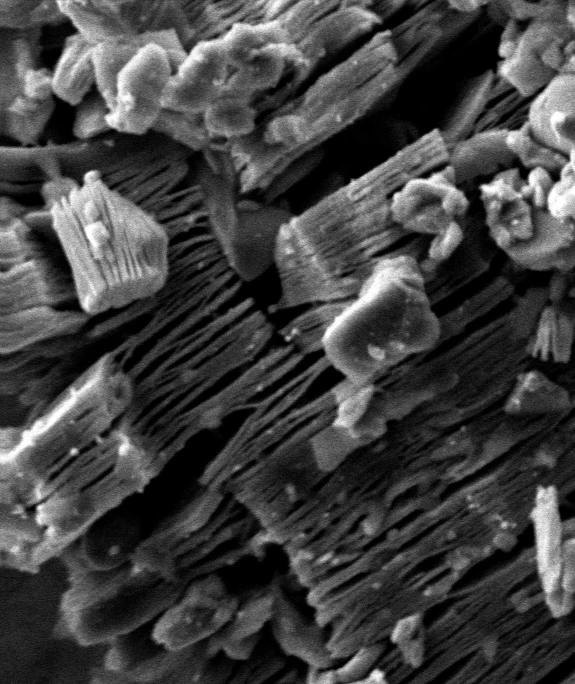 Sentezlenen MXene nanomateryalinin taramalı elektron mikroskobu görüntüsü